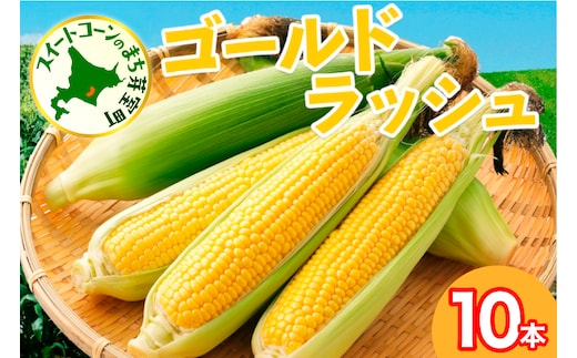 【先行受付】【2026年7月下旬～8月上旬頃配送】北海道十勝 芽室町産 朝獲れ とうもろこし ゴールドラッシュ10本 me035-026c-26