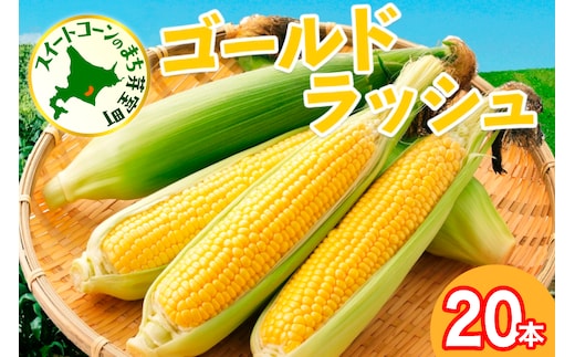 【先行受付】【2026年7月下旬～8月上旬頃配送】北海道十勝 芽室町産 朝獲れ とうもろこし ゴールドラッシュ20本 me035-027c-26