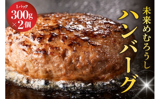 北海道十勝芽室町 未来めむろうし100％ハンバーグ 300g×2パック me067-001c
