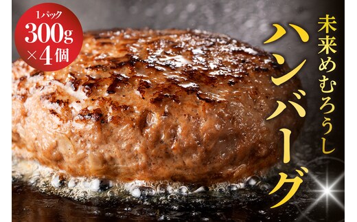 北海道十勝芽室町 未来めむろうし100％ハンバーグ 300g×4パック me067-002c