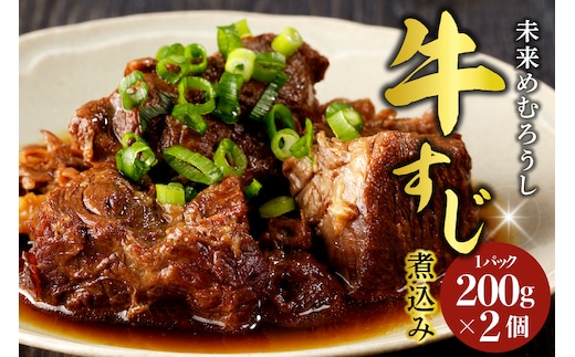 北海道十勝芽室町 未来めむろうしの牛すじ煮込み 2パック me067-003c