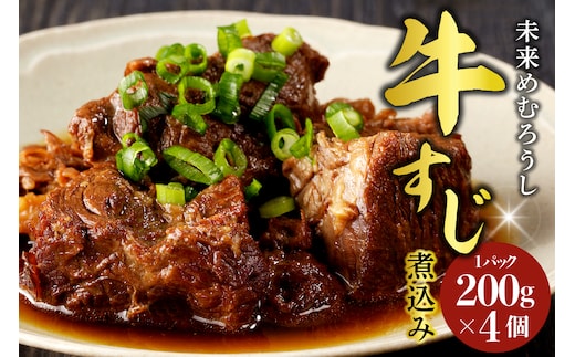 北海道十勝芽室町 未来めむろうしの牛すじ煮込み 4パック me067-004c