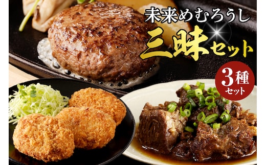 北海道十勝芽室町 未来めむろうし三昧セット me067-007c