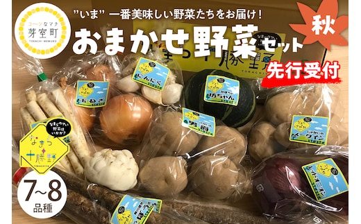 【先行受付】【2026年10月より配送】北海道十勝芽室町 なまら十勝野の季節のおまかせ野菜セット（秋） me001-004c