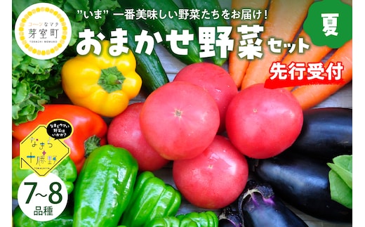 【先行受付】【2026年8月より発送】北海道十勝芽室町 なまら十勝野の季節のおまかせ野菜セット（夏） me001-009c