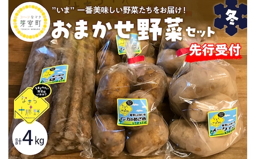 【先行受付】【2026年2月より順次発送】北海道十勝芽室町 なまら十勝野の季節のおまかせ野菜セット（冬） me001-015c
