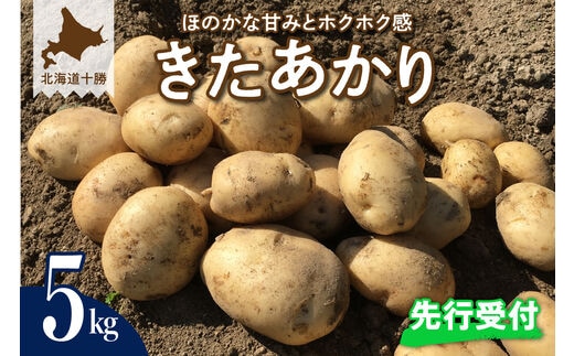【先行受付】【2026年9月下旬より配送予定】北海道十勝芽室町 きたあかり5kg me002-003-26c