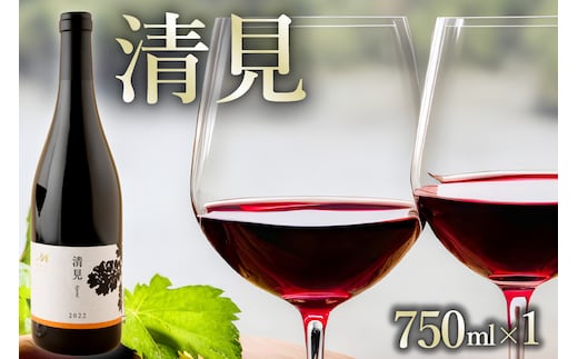 北海道十勝芽室町 赤ワイン：清見 750ml×1本(箱入) me032-044c