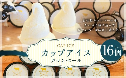 十勝産生乳の旨み!ジェラートアイスクリーム 16個セット CAMEMBERT(カマンベール) ギフト 贈り物 プレゼント [027-0272]