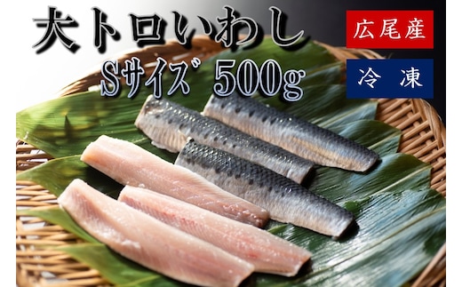大トロいわし フィレ Ｓサイズ 500g(AM0006)