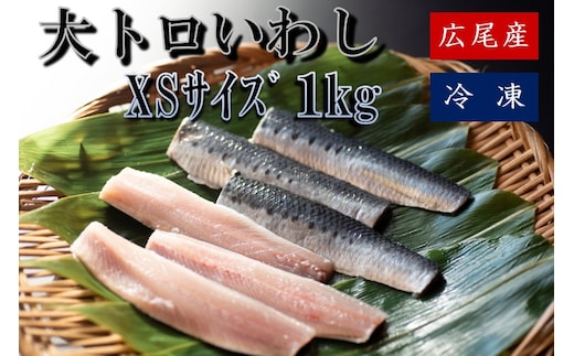 大トロいわし フィレ ＸＳサイズ 1kg(AM0005)