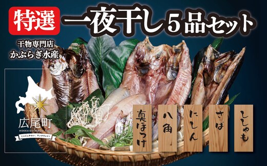干物専門店 かぶらぎ水産の特選一夜干し ５品セット(J0031)
