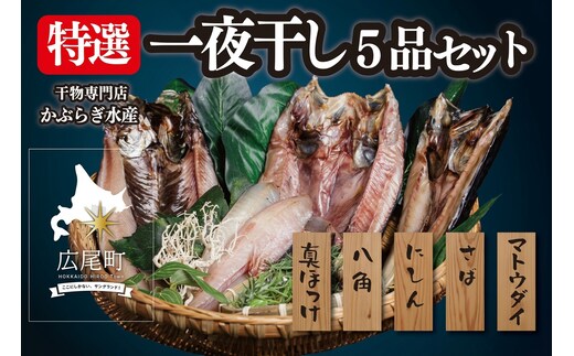 干物専門店 かぶらぎ水産の特選一夜干し ５品セット(J0031)
