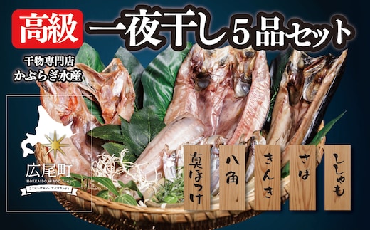 干物専門店 かぶらぎ水産の高級一夜干し ５品セット(J0032)