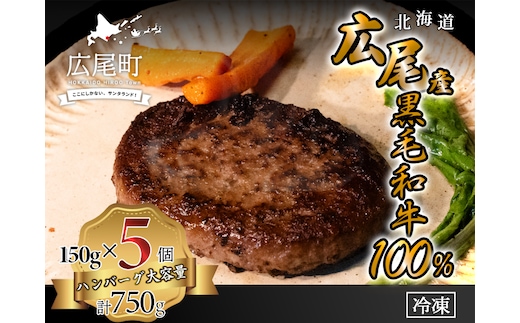 黒毛和牛100%使用 ハンバーグ150g 5個 合計750g【ハンバーグ はんばーぐ 冷凍 冷凍生 便利 簡単 牛肉 和牛 ビーフ 黒毛和牛 個包装 北海道 十勝】(AQ0007)