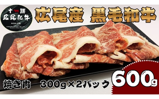 焼き肉用 黒毛和牛 300g×2パック 計600g【冷凍 牛肉 焼肉 ビーフ BBQ バーベキュー 北海道 十勝】(AQ0003)