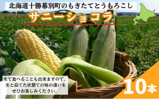 ［先行予約/2026年］もぎたてとうもろこし黄10本 [北海道ホープランド農場]【 とうきび トウモロコシ とうもろこし 野菜 夏野菜 フルーツ 北海道 十勝 幕別 】 