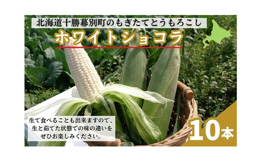 ［先行予約/2026年］もぎたてとうもろこし白10本 [北海道ホープランド農場]【 とうきび トウモロコシ とうもろこし 野菜 夏野菜 フルーツ 北海道 十勝 幕別 】 