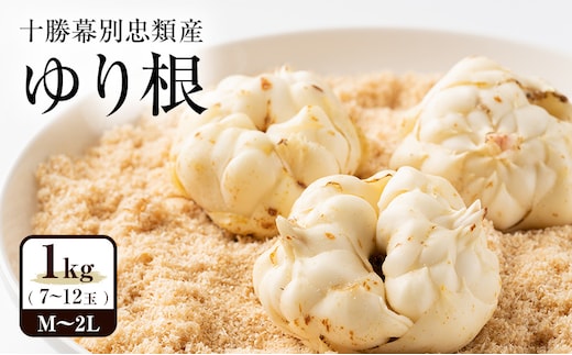 2026年10月発送 先行予約 十勝「忠類ゆり根」1kg (7～12玉) M～2L［JA忠類］【 ゆり根 百合根 高級食材 お正月 贈答 ギフト 根菜 冬の味覚 北海道 幕別 】