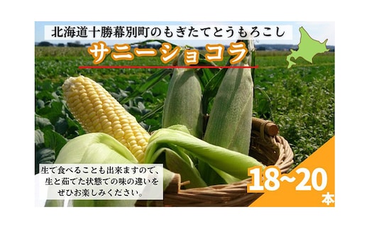 ［先行予約/2026年］もぎたてとうもろこし黄18～20本 [北海道ホープランド農場]【 とうきび トウモロコシ とうもろこし 野菜 夏野菜 フルーツ 北海道 十勝 幕別 】 