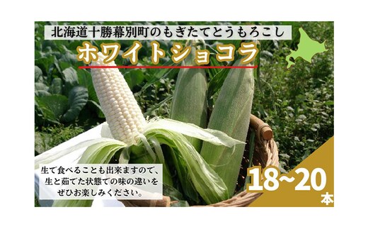 ［先行予約/2026年］もぎたてとうもろこし白18～20本 [北海道ホープランド農場]【 とうきび トウモロコシ とうもろこし 野菜 夏野菜 フルーツ 北海道 十勝 幕別 】 