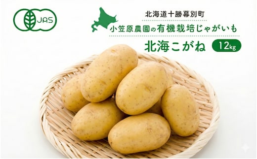 小笠原農園の有機じゃがいも「北海こがね」12kg 北海道 十勝 幕別 《2026年秋出荷先行予約》【 野菜 芋 じゃがいも とうや 北海こがね 】 