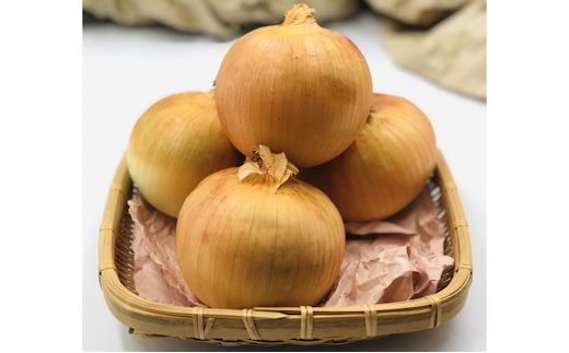 北海道十勝幕別産 玉ねぎ 約10kg 野菜 たまねぎ タマネギ 