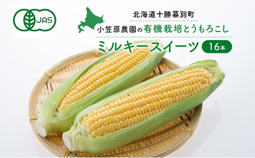 小笠原農園の有機とうもろこし「ミルキースイーツ」16本【北海道十勝幕別】《2026年8月出荷開始先行予約》【 スイートコーン コーン とうもろこし とうきび 黄色 野菜 夏 北海道 幕別町 】 