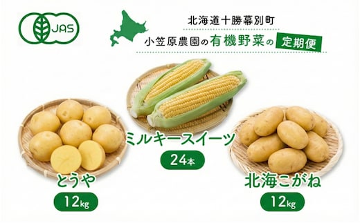 小笠原農園の有機野菜 定期便 夏「とうもろこし」ミルキースイーツ24本・秋「じゃがいも2種」とうや12kg・北海こがね12kg《2026年8月出荷開始》北海道 十勝 幕別【 スイートコーン 芋 セット 野菜 】
