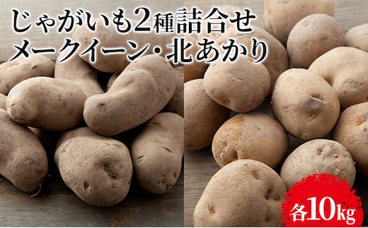 【先行予約】じゃがいも2種詰合せ（メークイン10kg・北あかり10kg）【十勝幕別 北海道ホープランド農場】 野菜 セット 