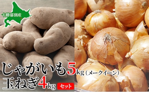【先行予約】じゃがいも5kg・玉ねぎ4kgセット（メークイン）【十勝幕別 北海道ホープランド農場】 たまねぎ 野菜 詰合せ 