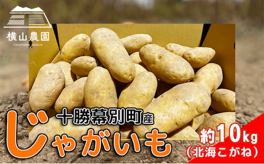 先行予約/2026年秋発送 北海道 十勝 幕別産 じゃがいも 北海こがね 約10kg 【横山農園】 野菜 根菜 フライドポテト ポテトチップス 変色しにくい 煮崩れしにくい 黄金色 北海道のジャガイモ 