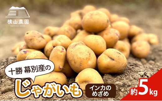 先行予約/2026年秋発送 北海道 十勝 幕別産 じゃがいも インカのめざめ 約5kg【横山農園】 野菜 根菜 フライドポテト ポテトチップス 変色しにくい 煮崩れしにくい 黄金色 北海道のジャガイモ 