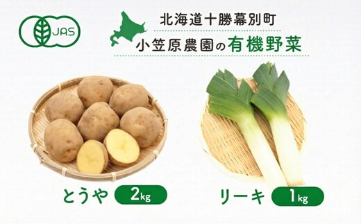 小笠原農園の有機野菜 2種詰合せ（とうや2kg・リーキ1kg）北海道 十勝 幕別《2026年秋出荷先行予約》【 野菜 芋 じゃがいも とうや ねぎ ネギ リーキ セット 】