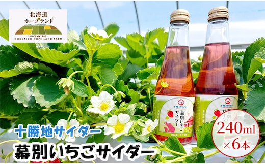 十勝地サイダー「幕別いちごサイダー」240ml×6本【北海道ホープランド農場】 北海道 十勝 幕別町 サイダー ご当地
