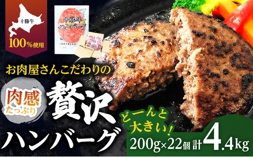 北海道 十勝牛 手ごねハンバーグ 200g×22個【 セット 牛100% 国産牛 牛肉 ハンバーグ 惣菜 小分け 冷凍 牛肉100% 大きい 国産 北海道 十勝 幕別 ふるさと納税 送料無料 】