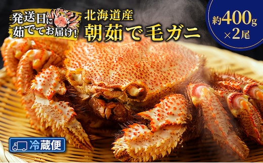 ［冷蔵便］茹でたて直送！北海道産 朝茹で毛ガニ 約400g×2尾【 かに カニ 蟹 毛蟹 毛ガニ 海鮮 魚介 海の幸 海産物 冷蔵 北海道 十勝 幕別 】