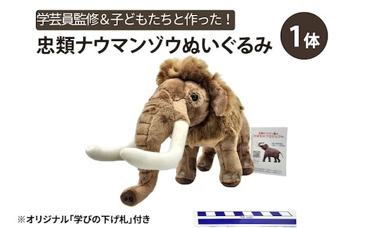 [北海道幕別町]学芸員監修＆子どもたちと作った！忠類ナウマンゾウぬいぐるみ1体（小中学生制作のオリジナル学びの下げ札付き）【 ぬいぐるみ おもちゃ ふわふわ もこもこ 北海道 幕別 】