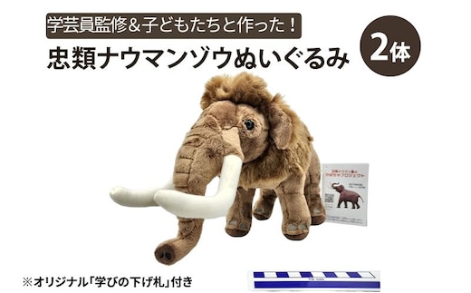[北海道幕別町]学芸員監修＆子どもたちと作った！忠類ナウマンゾウぬいぐるみ2体（小中学生制作のオリジナル学びの下げ札付き）【 ぬいぐるみ おもちゃ ふわふわ もこもこ 北海道 幕別 】
