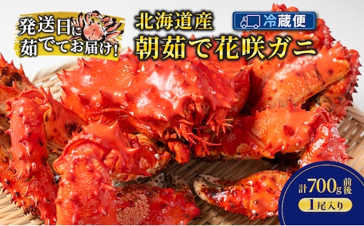 ［冷蔵便］茹でたて直送！北海道産 朝茹で 花咲ガニ 約700g×1尾【 かに カニ 蟹 花咲ガニ 花咲蟹 海鮮 魚介 海の幸 海産物 家庭用 冷蔵 北海道 十勝 幕別 】