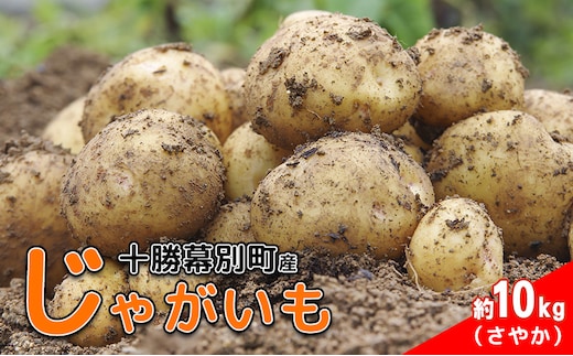 先行予約/2026年秋発送 北海道 十勝 幕別産 じゃがいも さやか 約10kg 【横山農園】 野菜 根菜 食材 しっとり 崩れにくい 煮込み料理 炒め物 肉じゃが カレー シチュー 北海道のジャガイモ