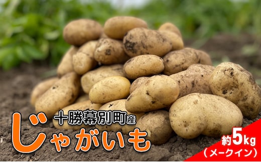 先行予約/2026年秋発送 北海道 十勝 幕別産 じゃがいも メークイン 約5kg 【横山農園】 野菜 根菜 食材 しっとり 崩れにくい 煮込み料理 炒め物 肉じゃが カレー シチュー 北海道のジャガイモ