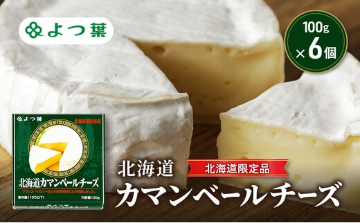 よつ葉 「北海道カマンベールチーズ [北海道限定品]」100g×6【 よつ葉 北海道カマンベールチーズ 販売店 新千歳空港 札幌駅 お土産 通販 お取り寄せ 違い 口コミ パッケージ 北海道限定 食べ方 レシピ アレンジ ワイン おつまみ 北海道 十勝 幕別 】