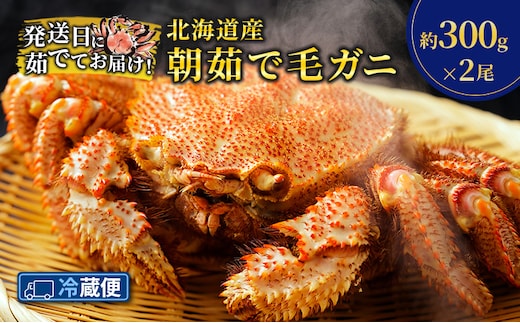 ［冷蔵便］茹でたて直送！北海道産 朝茹で毛ガニ 約300g×2尾【 かに カニ 蟹 幕別町 北海道 毛蟹 毛ガニ 海鮮 魚介 海の幸 海産物 冷蔵 】