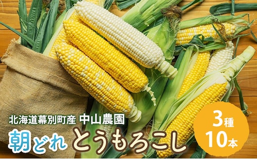 北海道 幕別町産 中山農園 朝どれ とうもろこし 3種 10本 （1本350g以上） [ 北海道産 スイートコーン 野菜 十勝 幕別 新鮮 テレビで紹介 ]