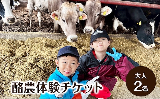 酪農体験チケット 大人2名 【 体験チケット 酪農 北海道 幕別町 牛 搾乳 牧場 自然 】