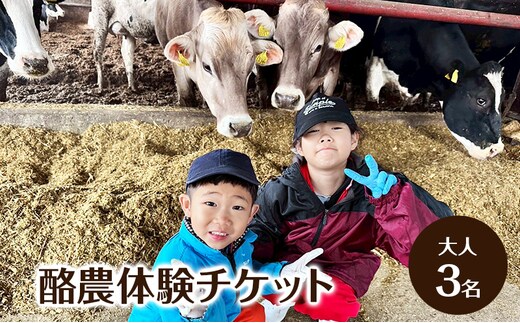 酪農体験チケット 大人3名 【 体験チケット 酪農 北海道 幕別町 牛 搾乳 牧場 自然 】