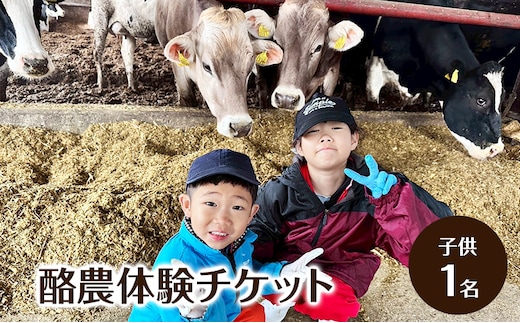 酪農体験チケット 子供1名 【 体験チケット 酪農 北海道 幕別町 牛 搾乳 牧場 自然 】