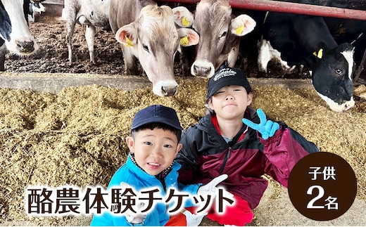 酪農体験チケット 子供2名 【 体験チケット 酪農 北海道 幕別町 牛 搾乳 牧場 自然 】