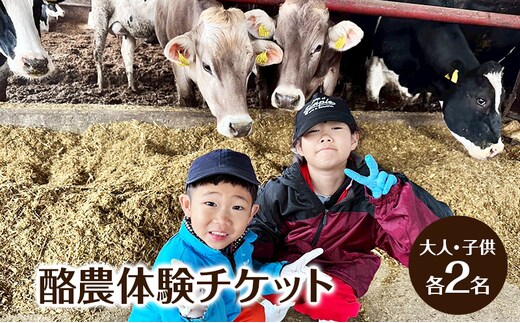 酪農体験チケット 大人・子供 各2名 【 体験チケット 酪農 北海道 幕別町 牛 搾乳 牧場 自然 】